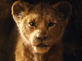 Teaser the lion king