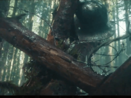 teaser cod vanguard