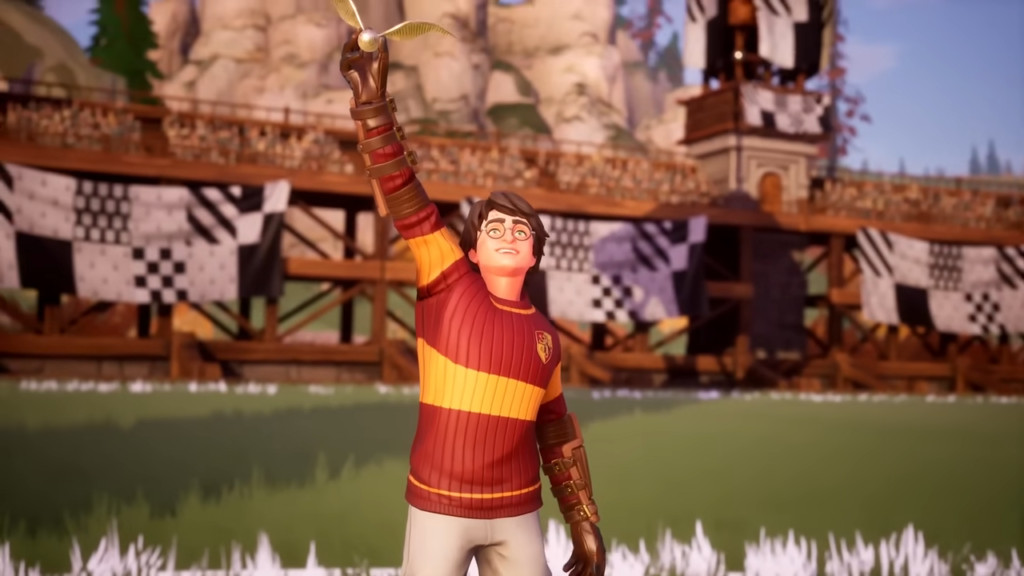 harry potter quidditch champion