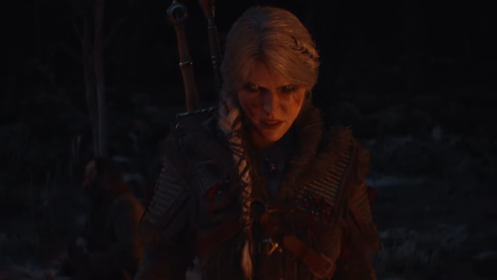 the witcher 4