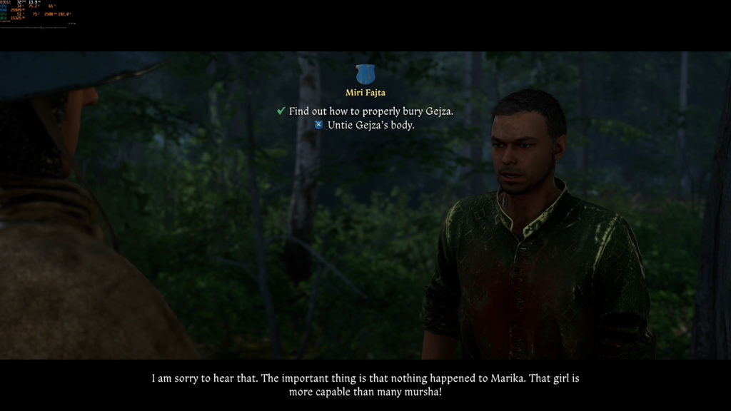 Kingdom Come Deliverance 2