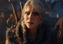 the witcher