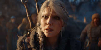 the witcher