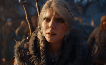 the witcher