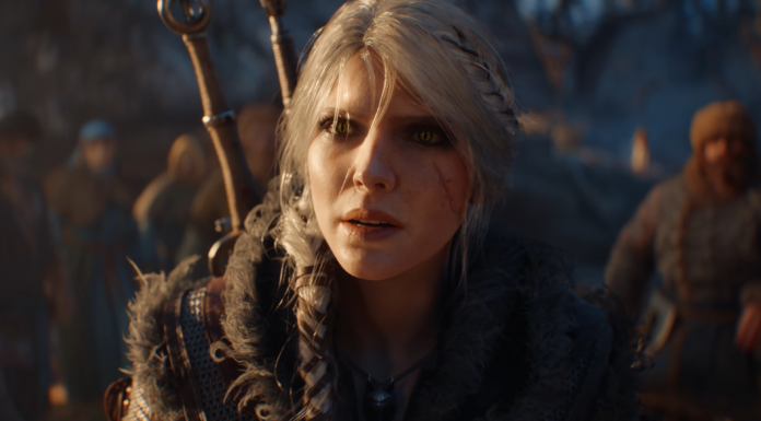 the witcher