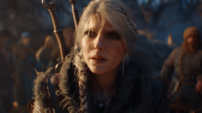 the witcher